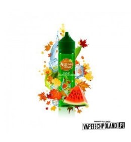 LONGFILL VAPY AUTUMN TIME 10/60ml - COLD WATERMELON