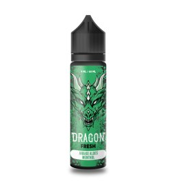 Longfill Dragon 9/60ml - Jabłko aloes menthol