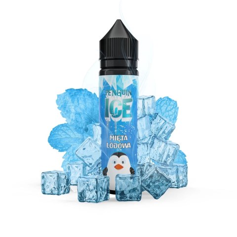 Longfill Penguin Ice 10/60 ml - Mięta Lodowa