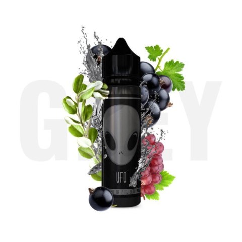 Longfill UFO 10/60 ml - Grey