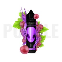 Longfill UFO 10/60 ml - Purple