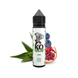 Longfill Koala 10/60ml - Lekki