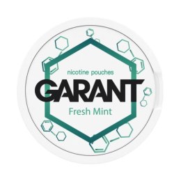 Woreczki Nikotynowe Garant Molecule 20mg - Fresh Mint