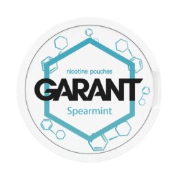 Woreczki Nikotynowe Garant Molecule 20mg - Spearmint