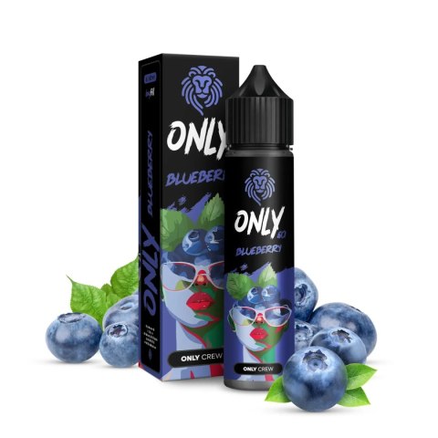 Longfill Only 6/60ml - Blueberry