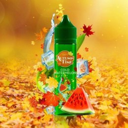 Longfill VAPY Autumn Time Premix 10/60ml - Watermelon